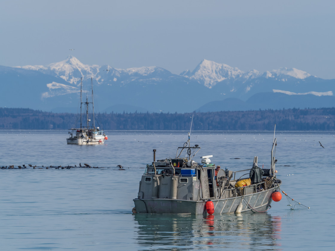 "Fishing" stock image