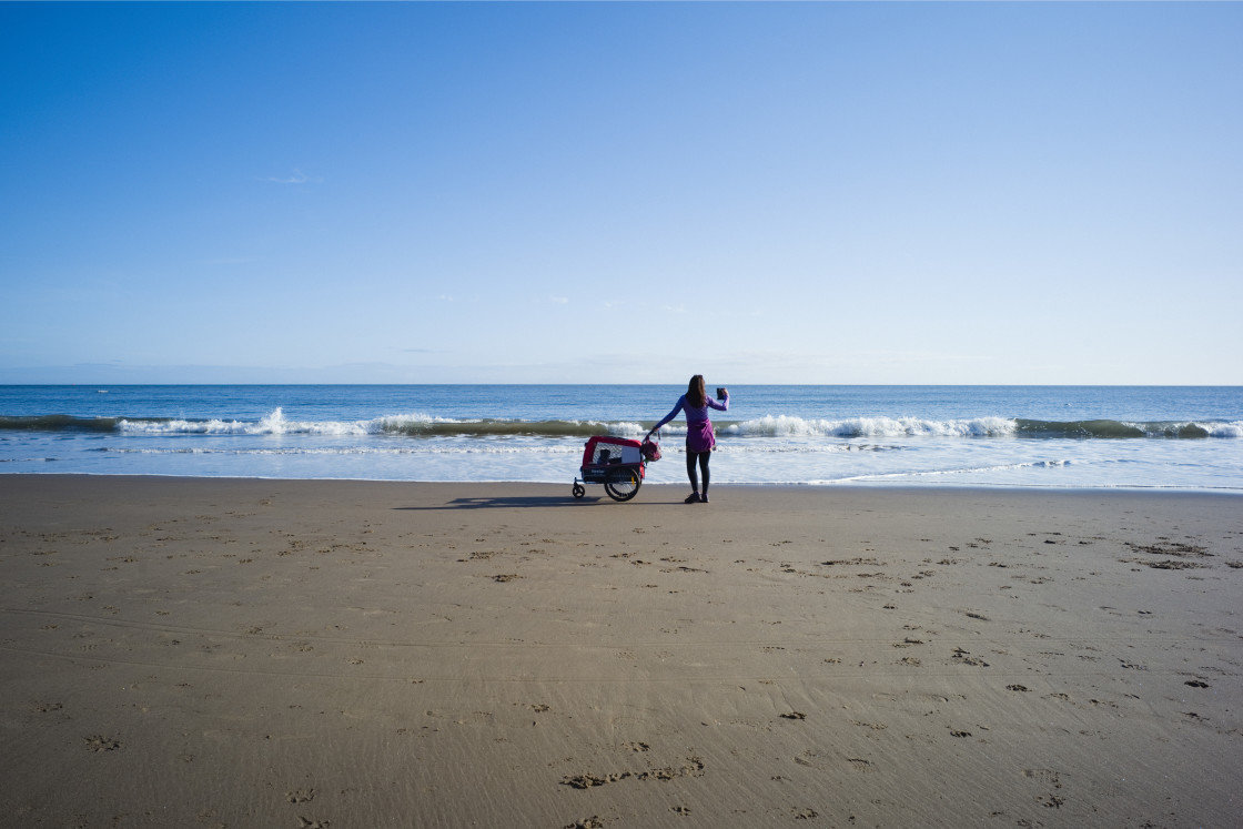 "Walking dog in a pushchair" stock image