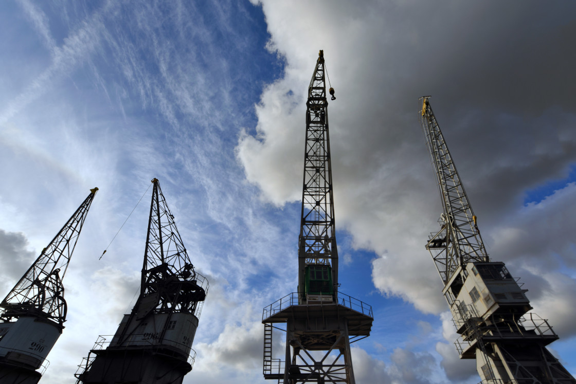 "Cranes" stock image