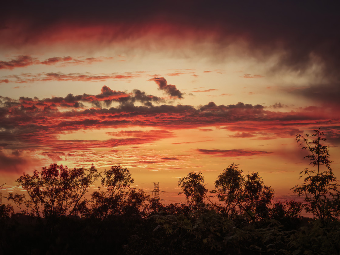 "Sunset Bush Skyline" stock image