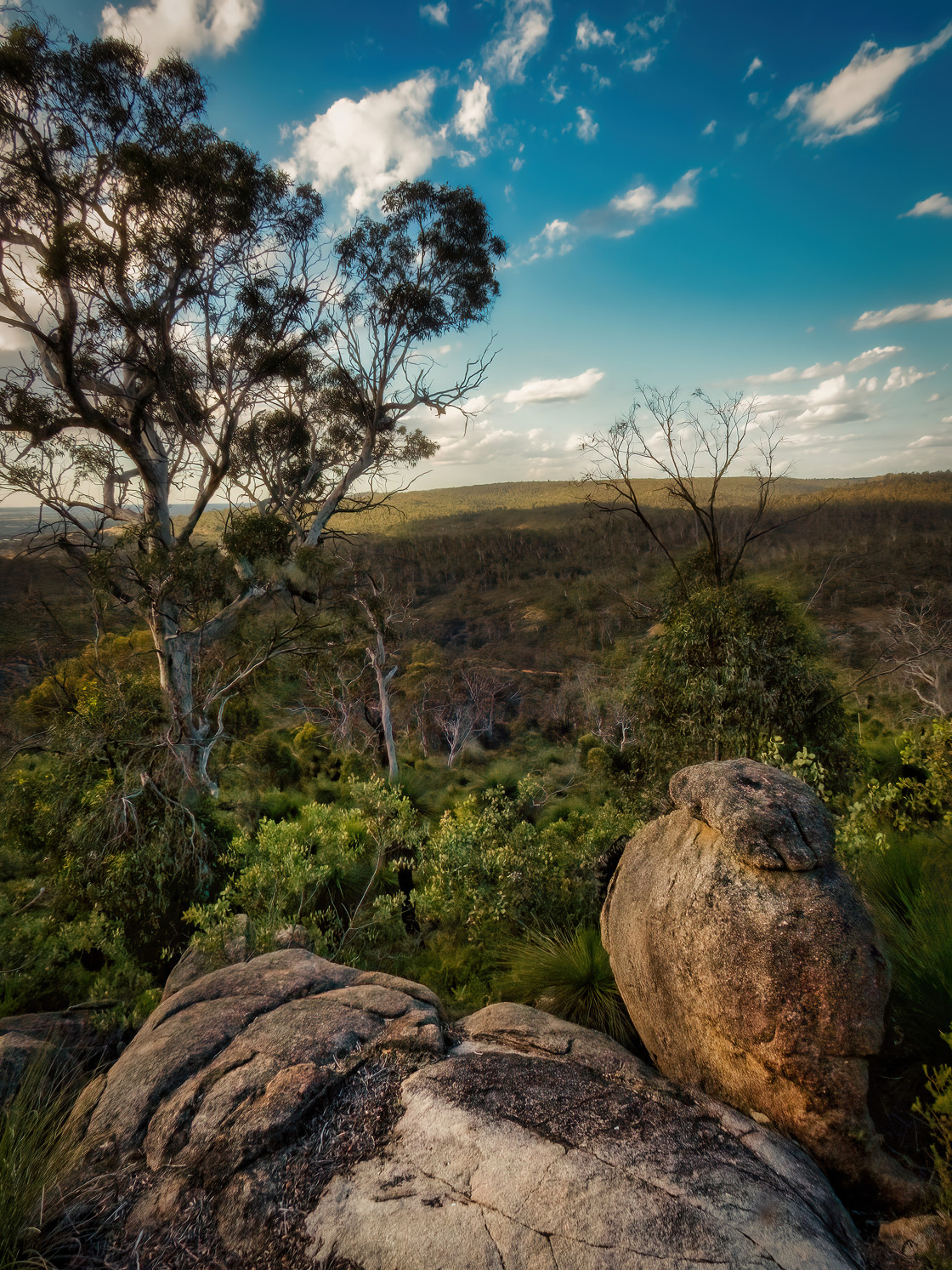 "Bushland Valley Overview" stock image