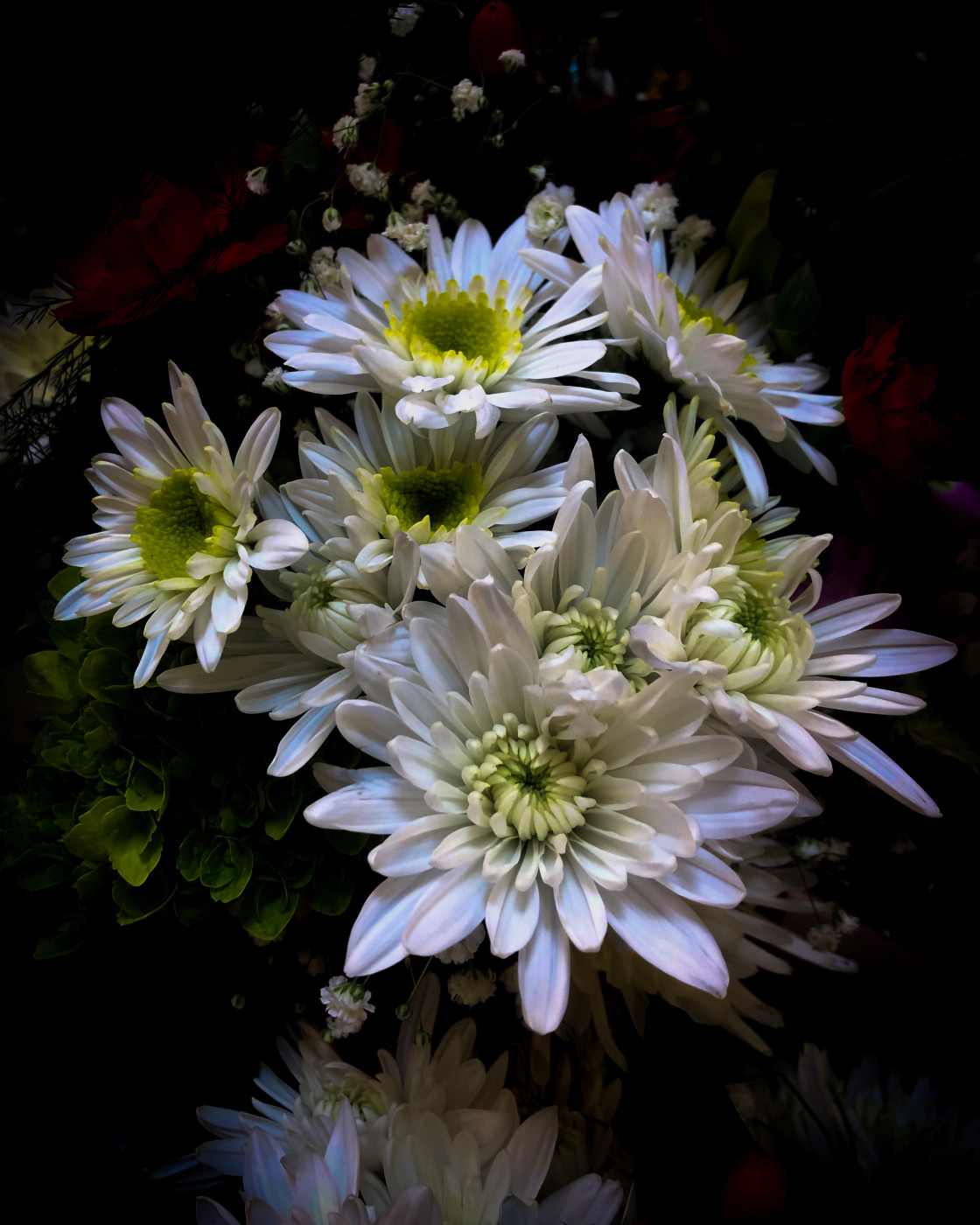 "Chrysanthemum Bouquet" stock image