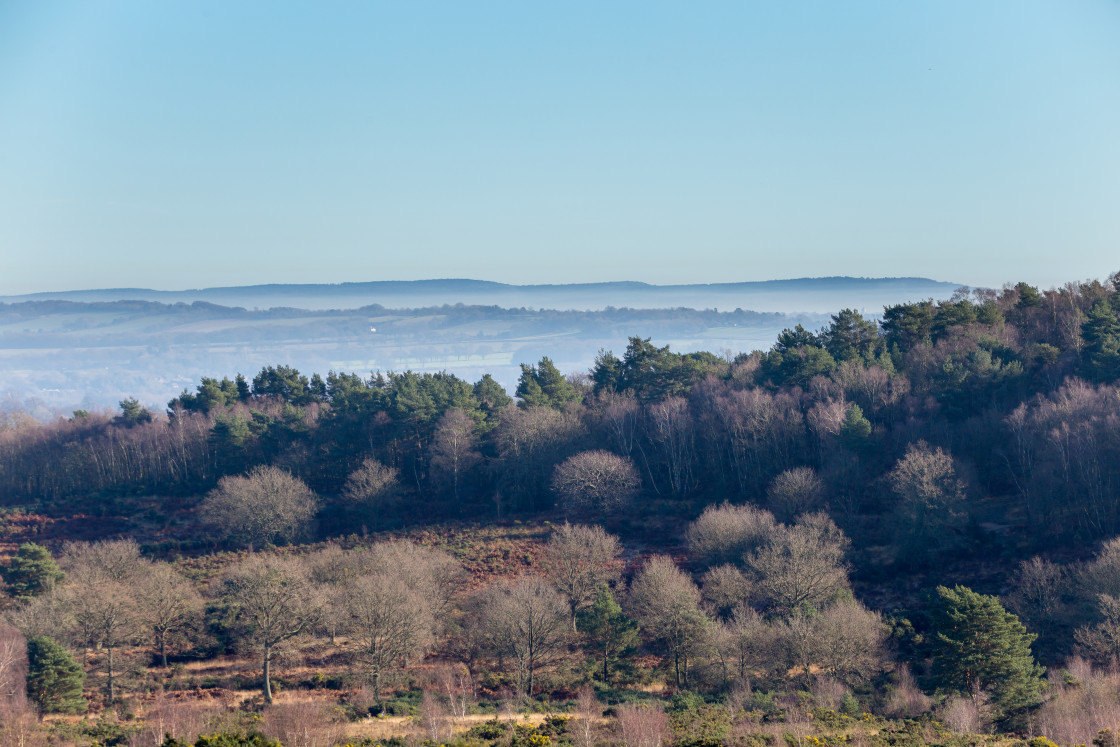 "Misty Landscape" stock image