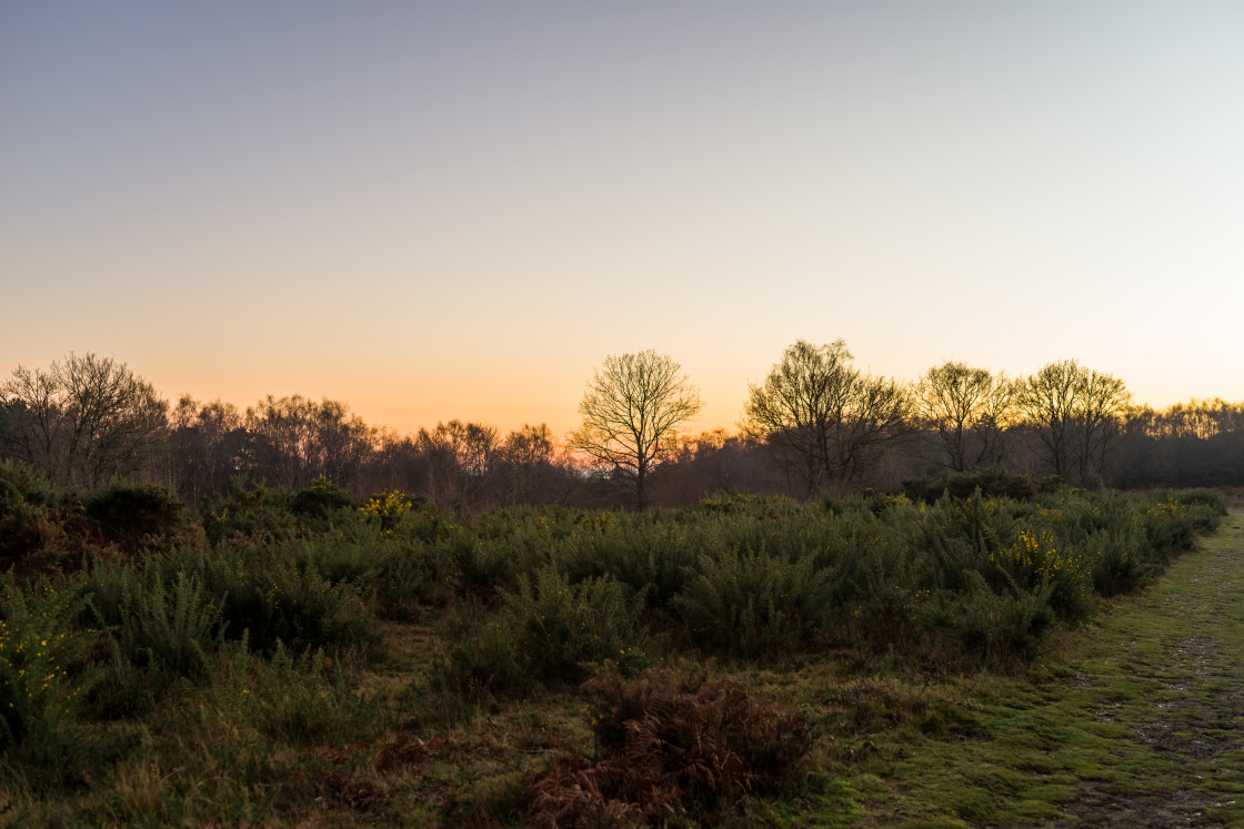 "Heathland Sundown" stock image