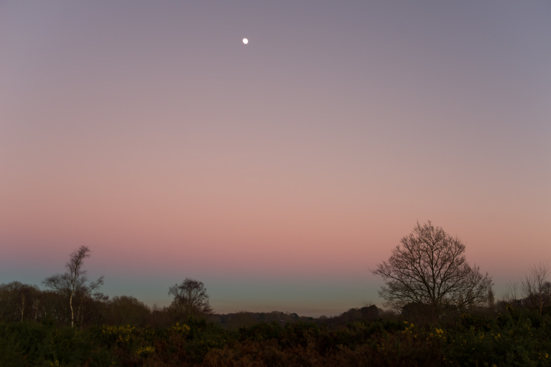 "Heathland Twilight" stock image