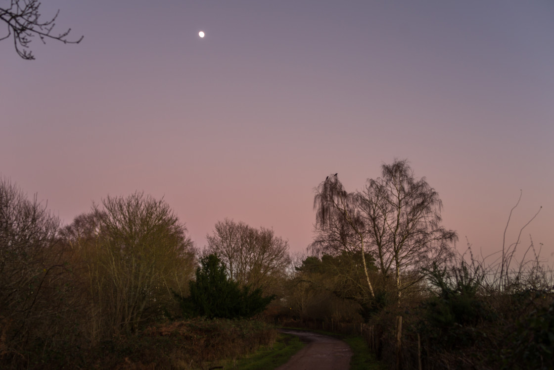 "Heathland Twilight" stock image