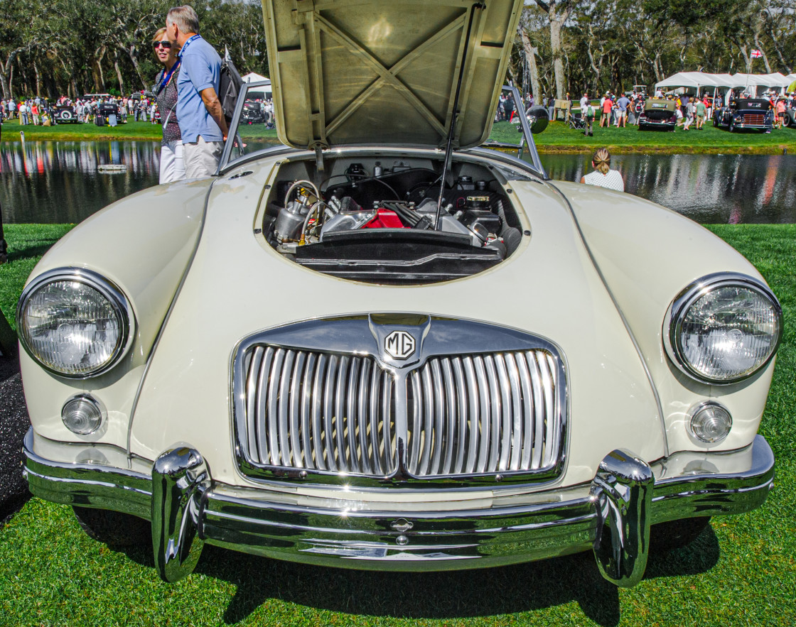 "Amelia Island Concours d’Elegance" stock image