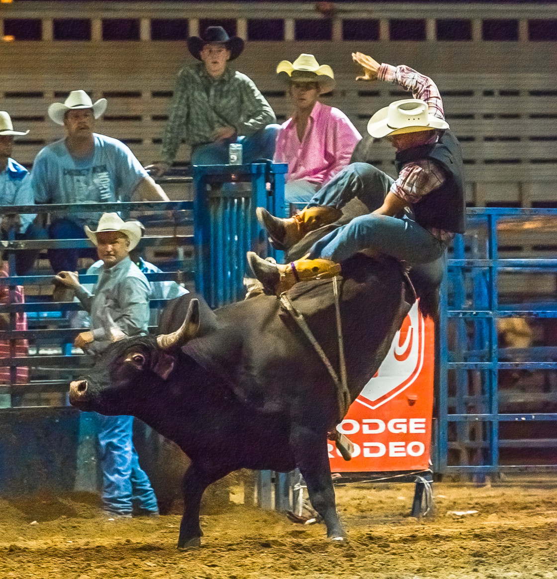 "Rodeo" stock image