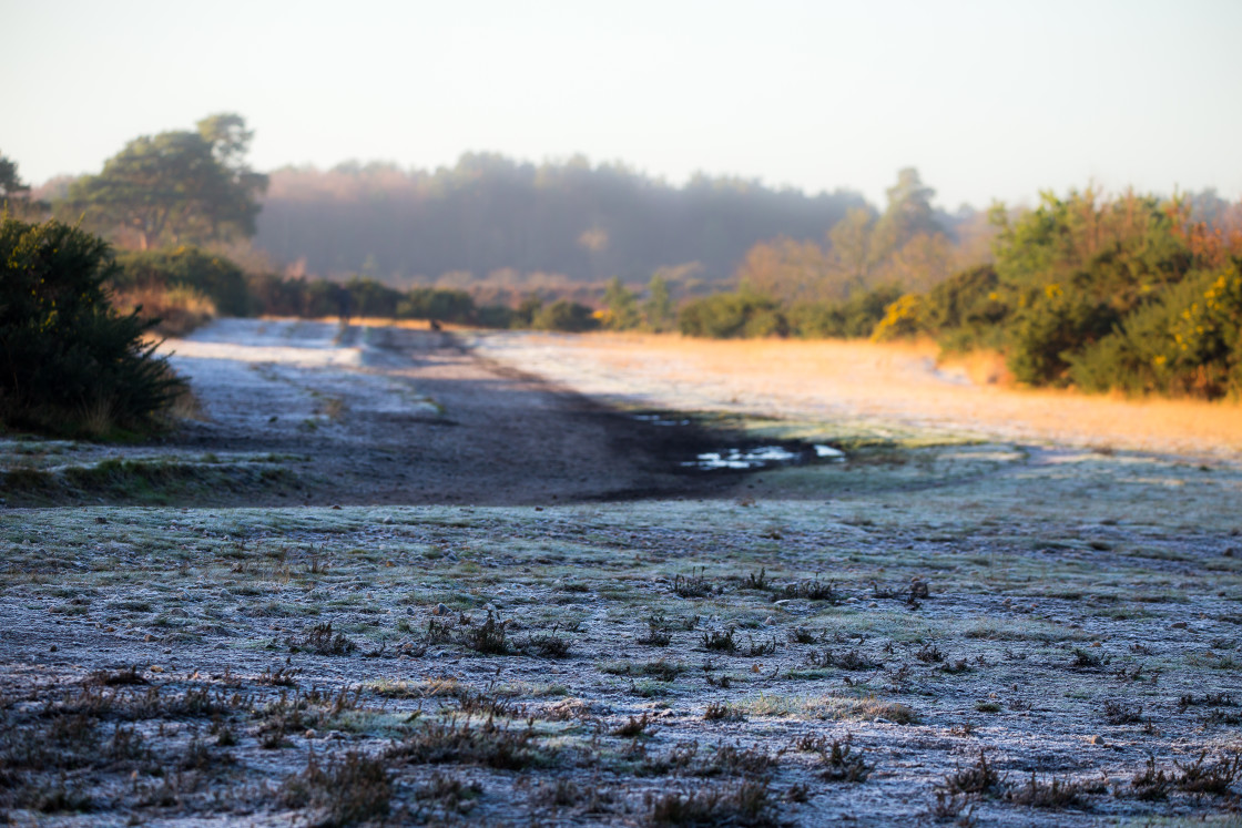 "Frosty Caesar's Camp" stock image