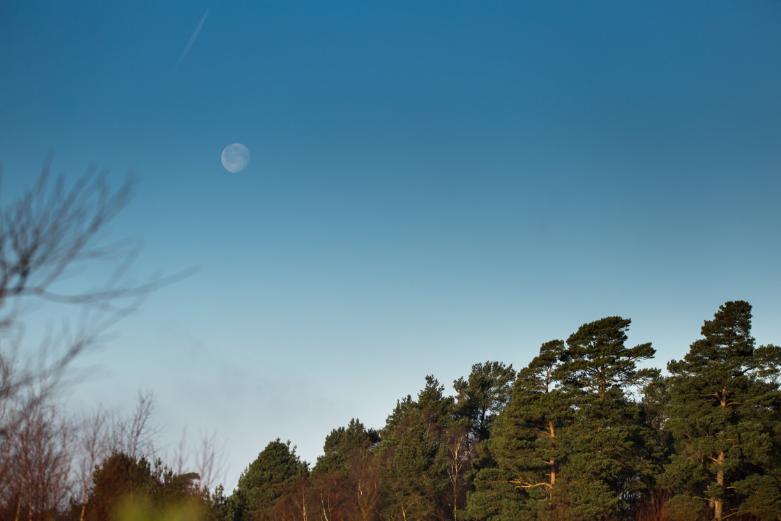 "Daytime Moon" stock image