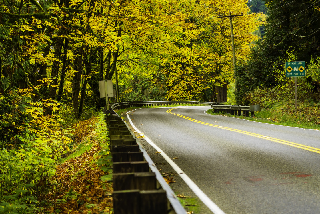 "Autumn in Duvall #2" stock image