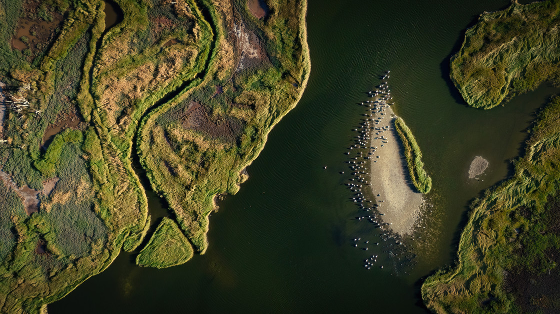 "Wetland Texture 1" stock image