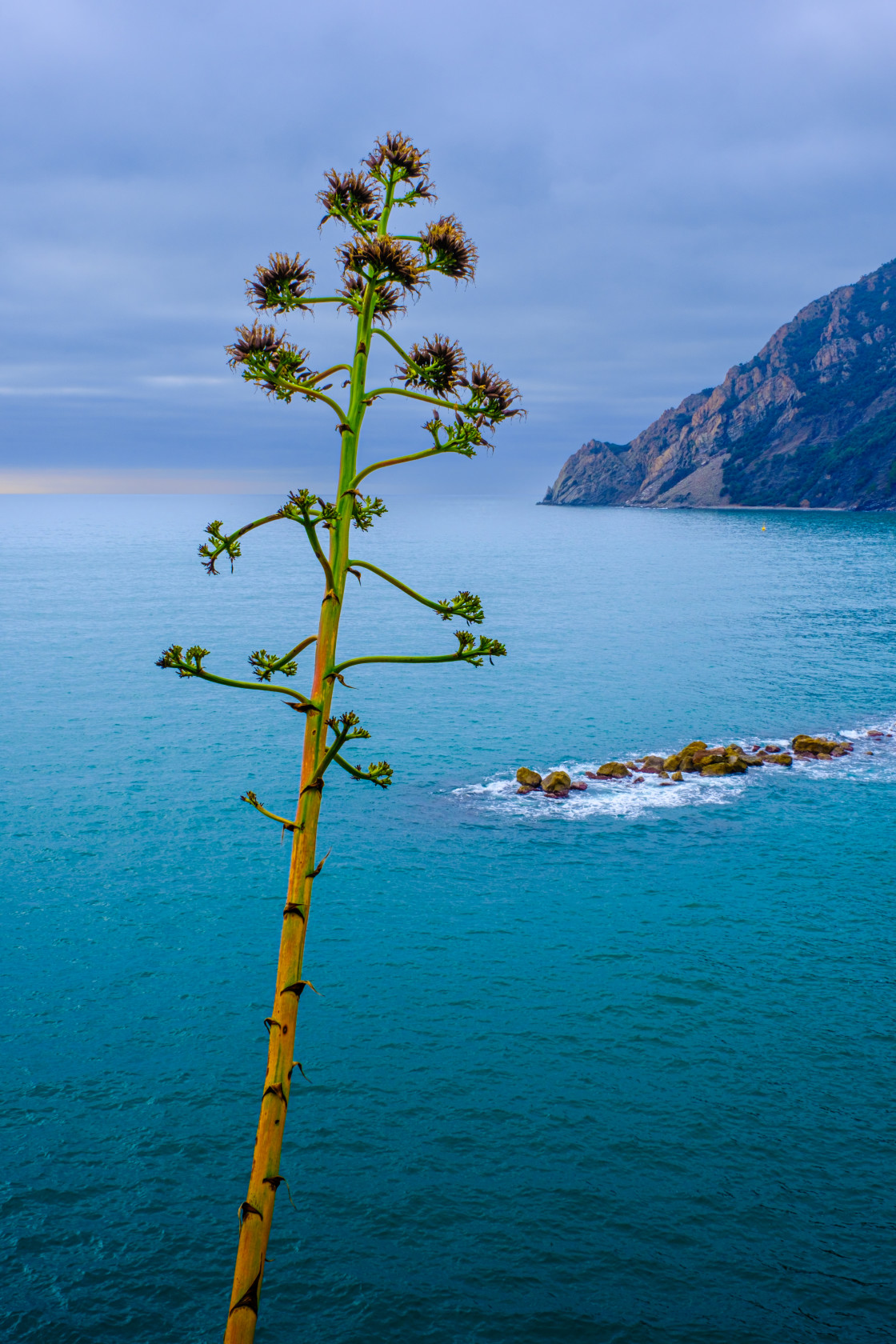 "Cinque Terre" stock image