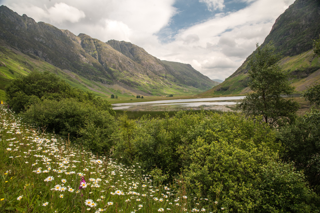 "Loch Achtriochtan, Daisies" stock image