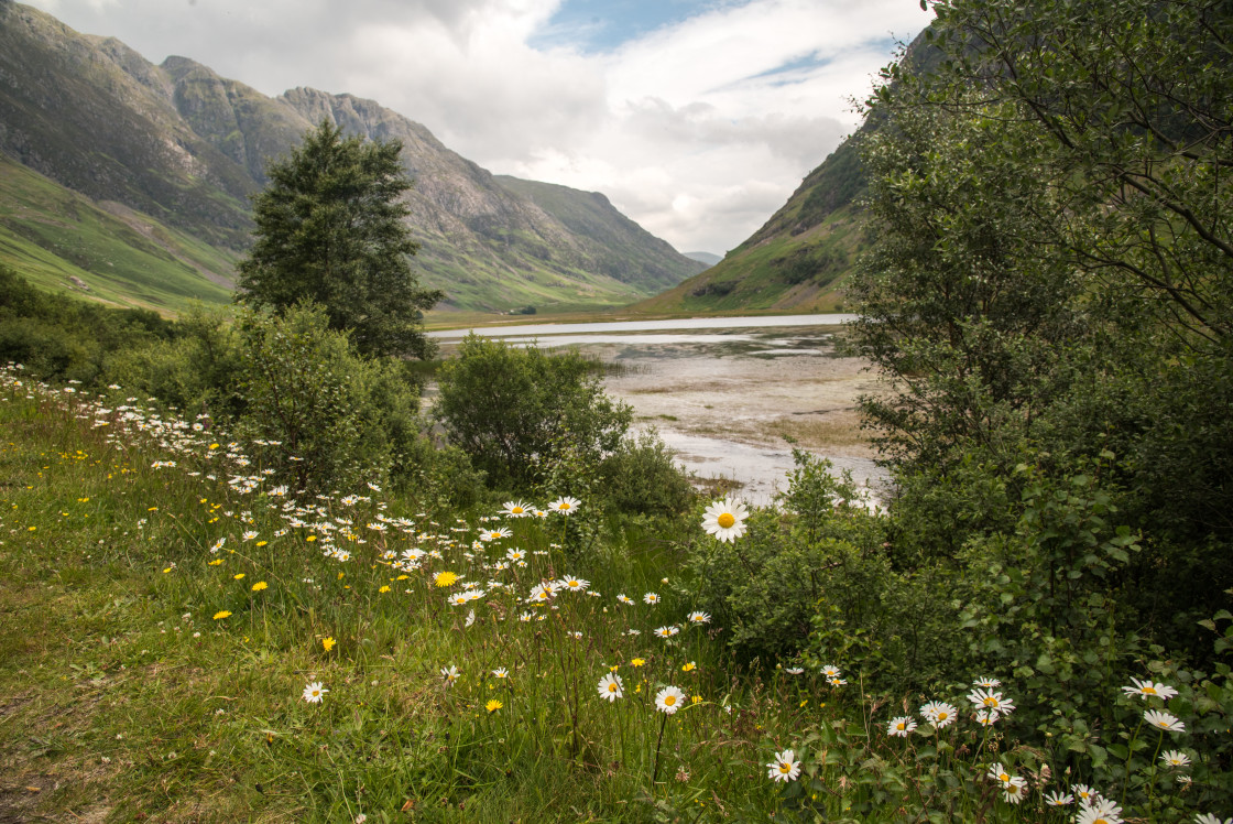 "Loch Achtriochtan, Daisies" stock image