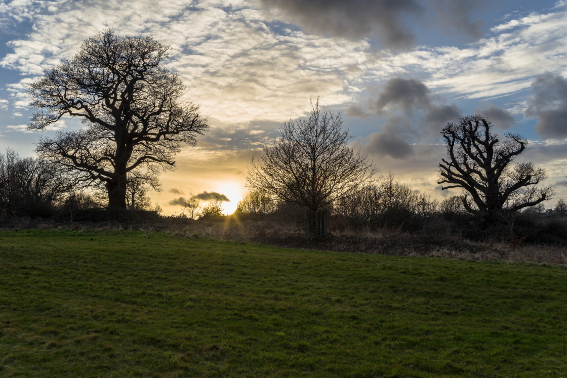 "Farnham Park Sunset" stock image