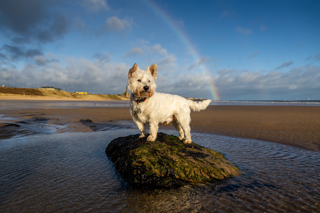 "At the end of the Rainbow" stock image