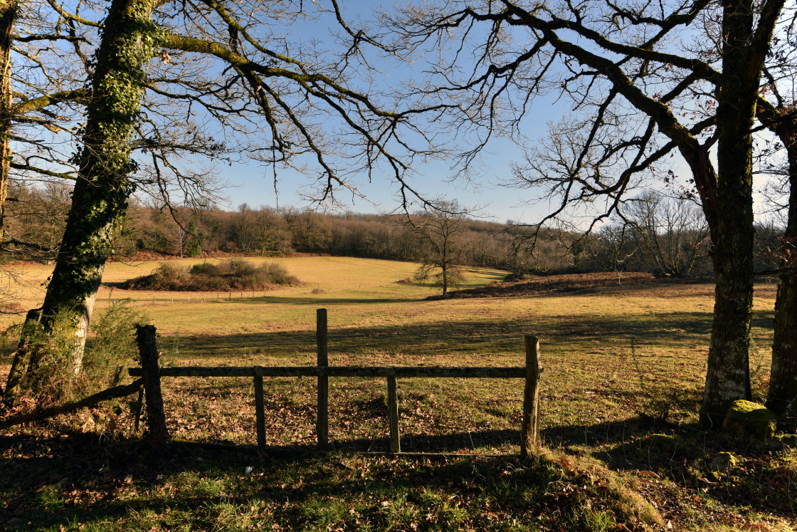 "Limousin Landscape" stock image