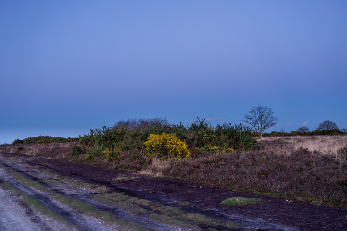 "Dusk on Caesar's Camp" stock image