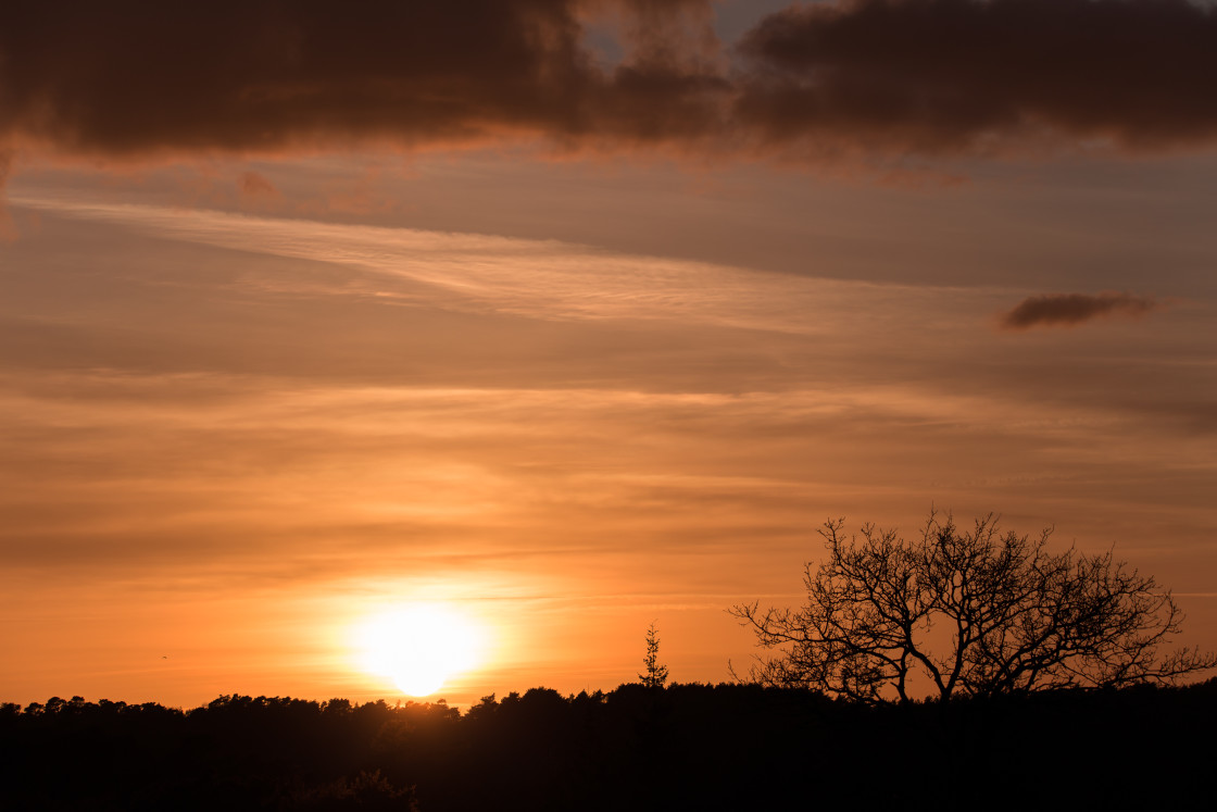 "Sunset" stock image