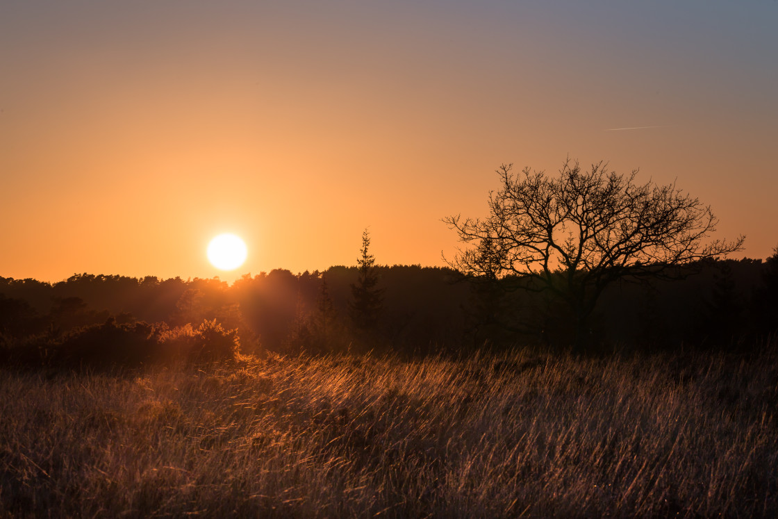 "Sunset" stock image