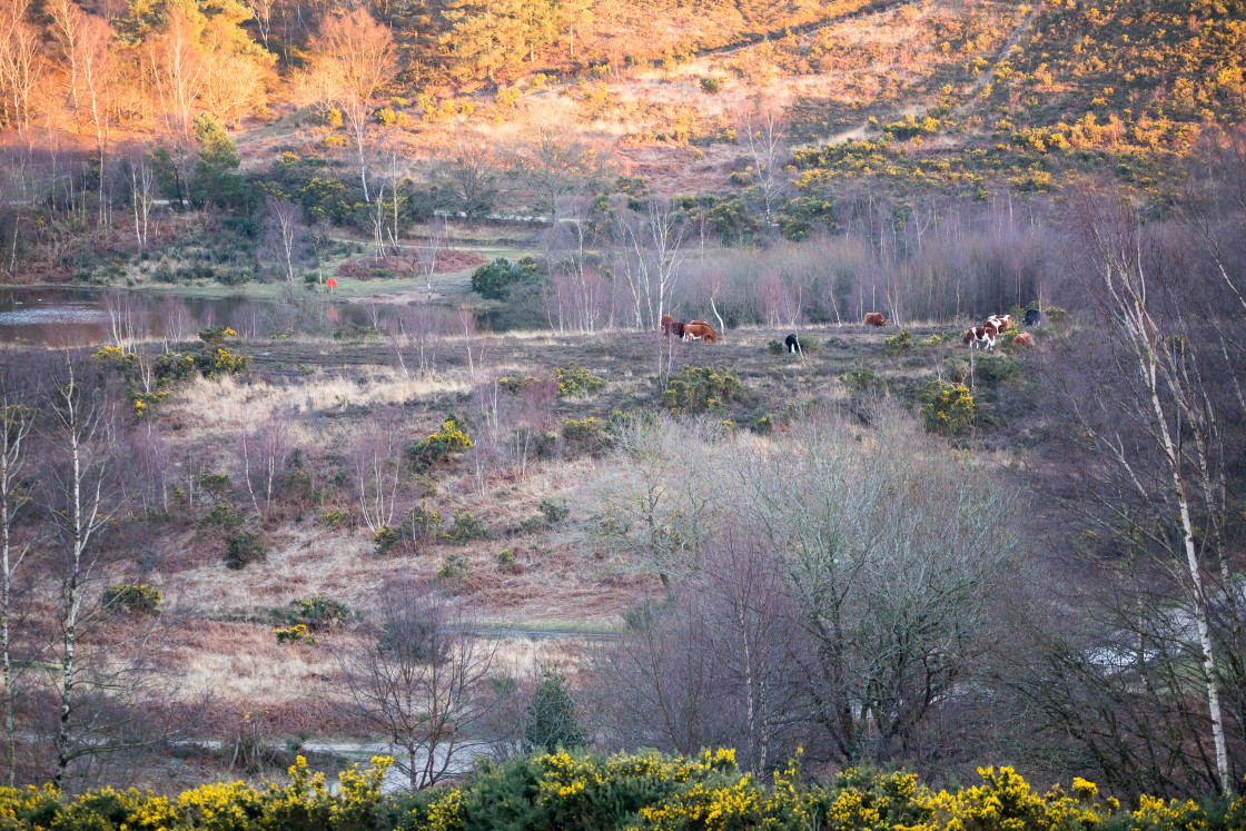 "Long Bottom Valley" stock image