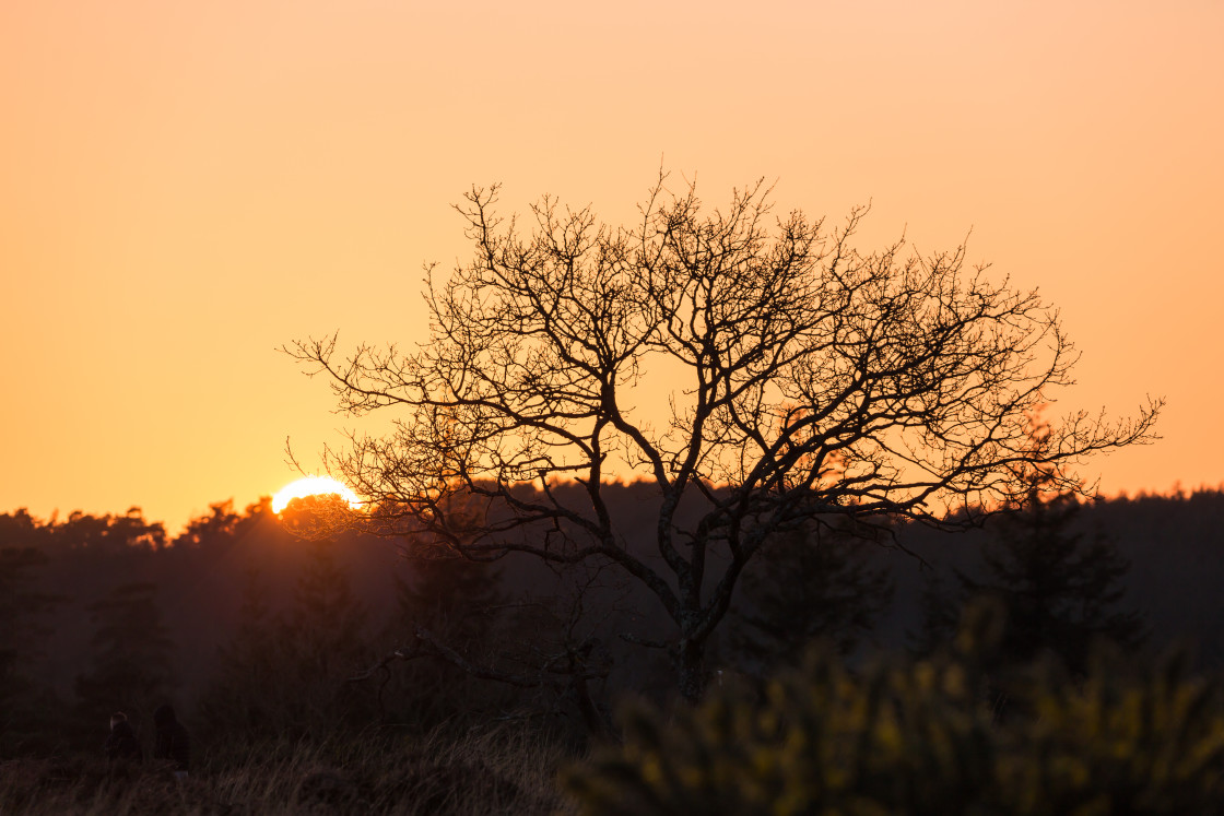 "Sunset" stock image