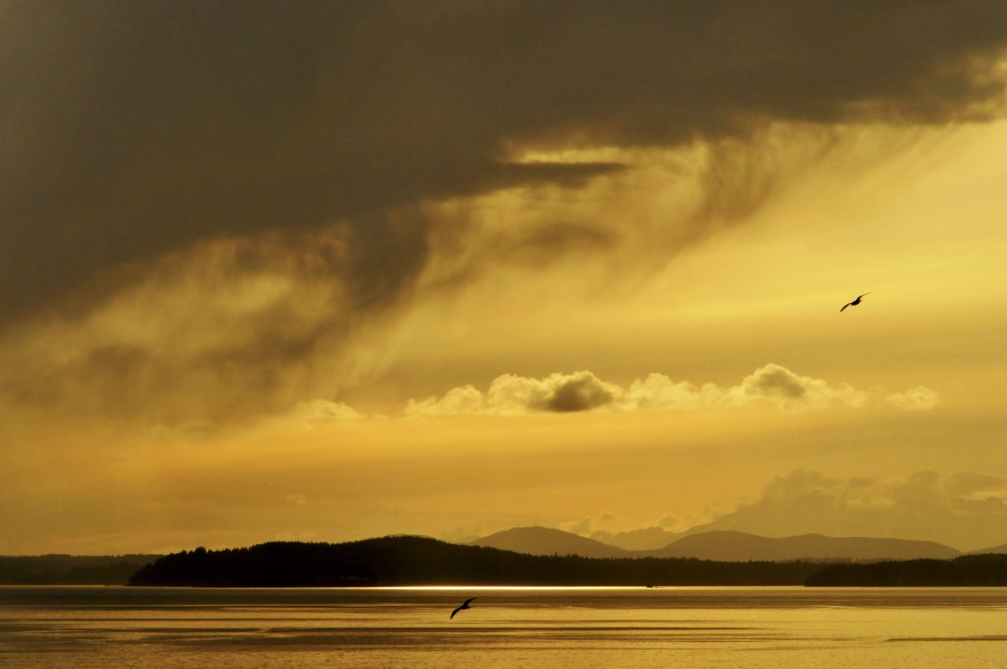 "San Juan Islands" stock image