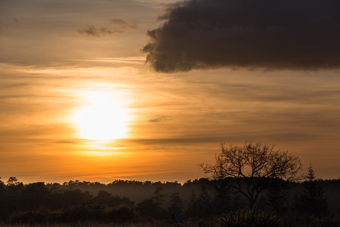 "Sunset on Heathland" stock image