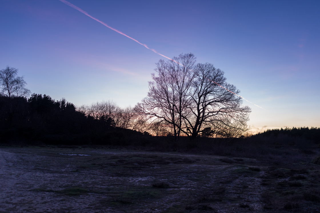 "Twilight" by Gordon England - $12.57 "Twilight" stock image