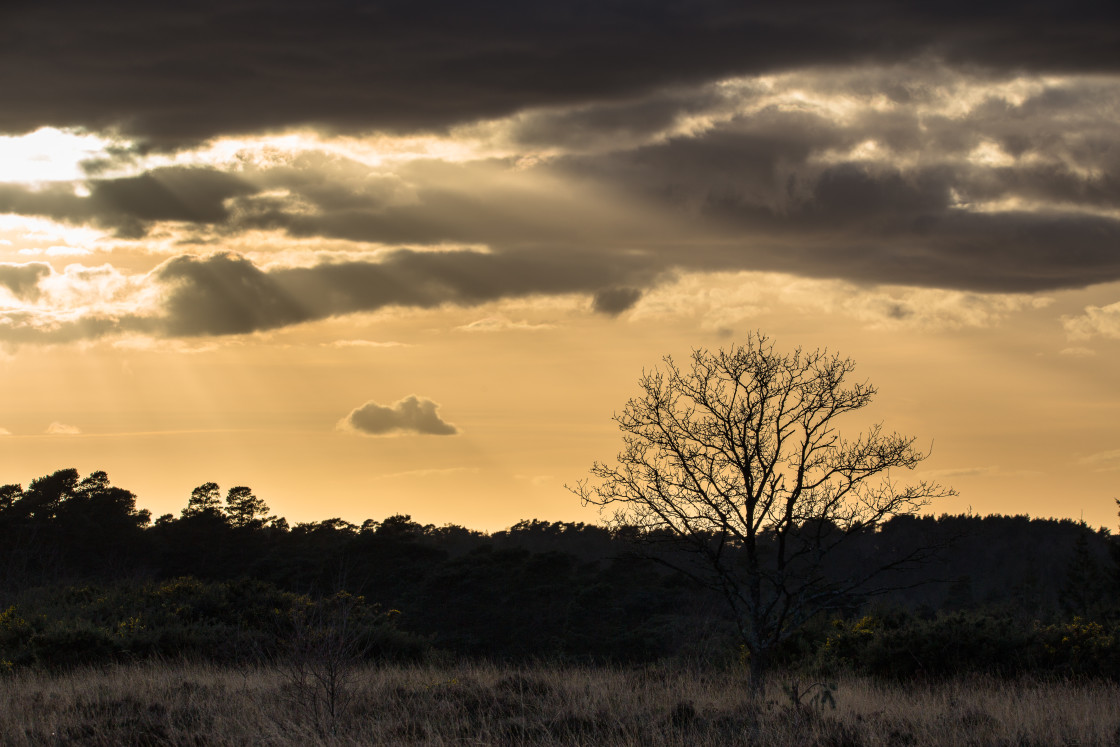 "Sun Breaking Cloud" stock image