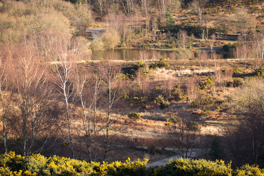 "Long Bottom Valley" stock image