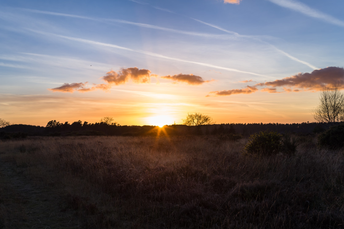 "Heathland Sunset" stock image