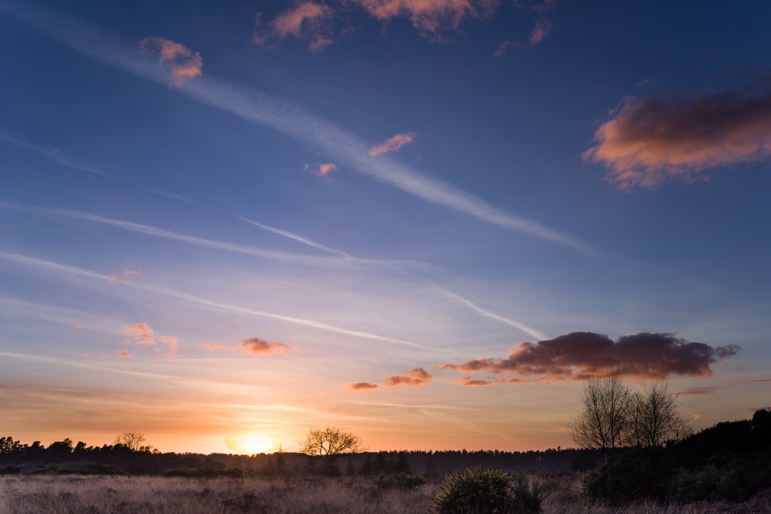 "Heathland Sunset" stock image