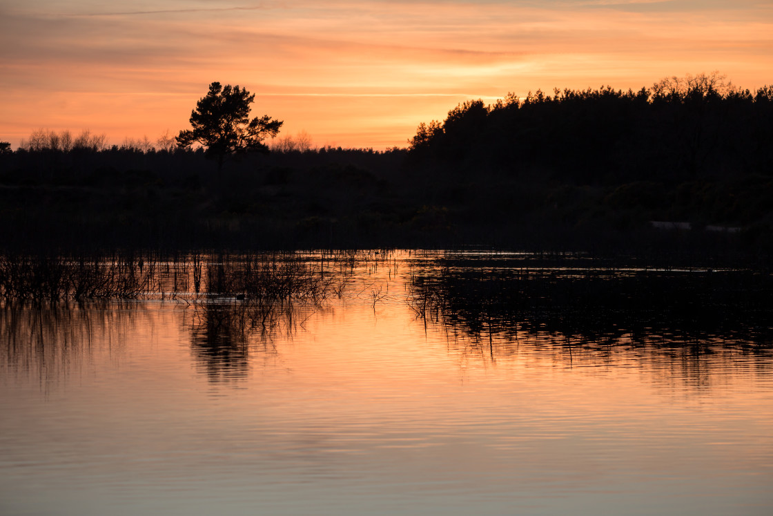 "Lake Twilight" stock image