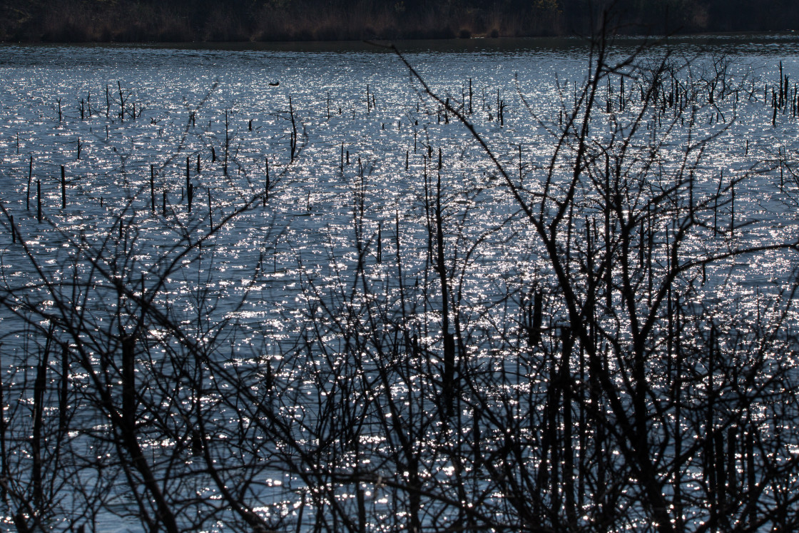 "Sun Glitter" stock image