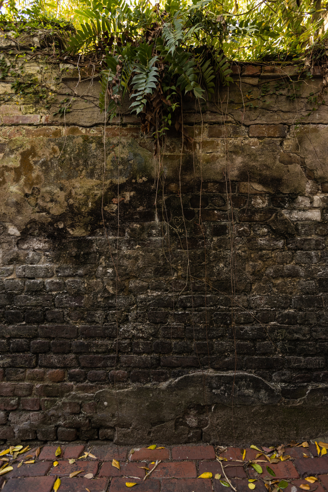 "Stolls Alley" by Joseph Hawk - $59.26 "Stolls Alley" stock image