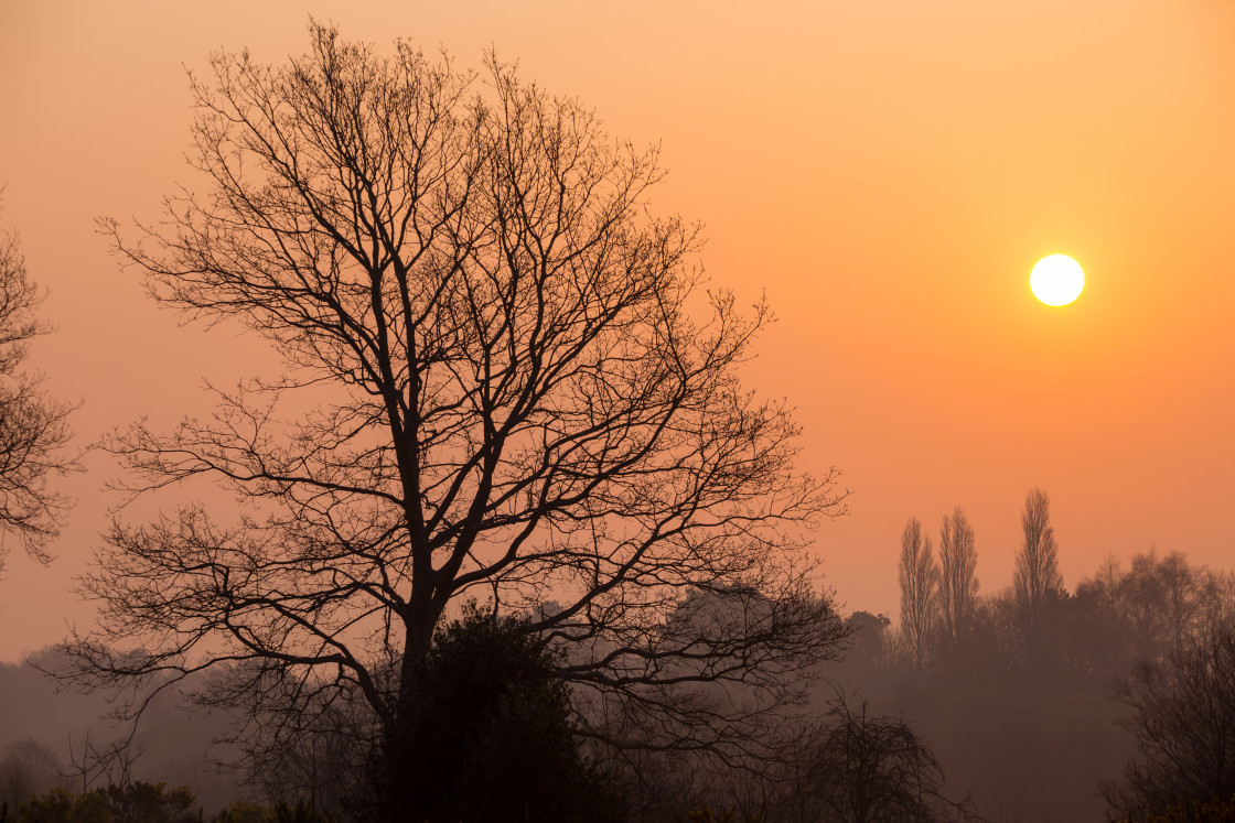 "Misty Morning Sun" stock image