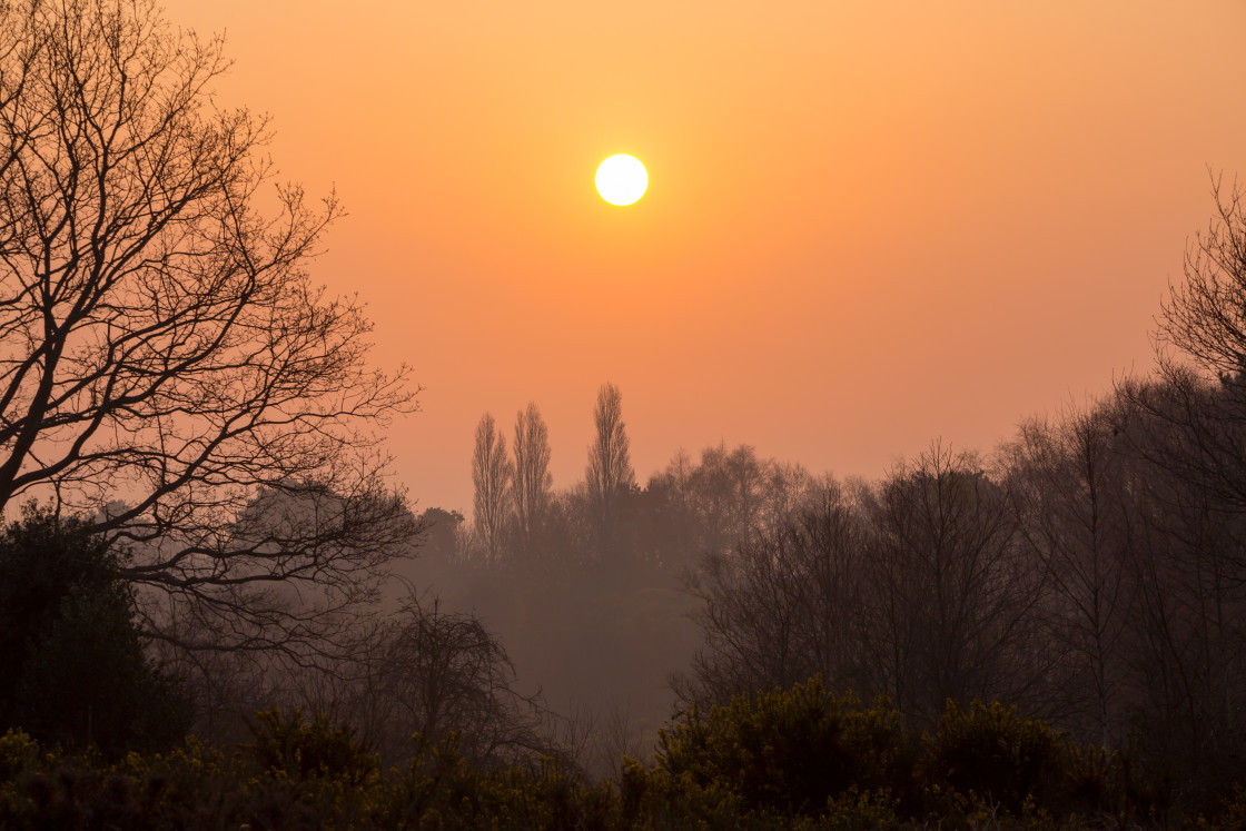 "Misty Morning Sun" stock image