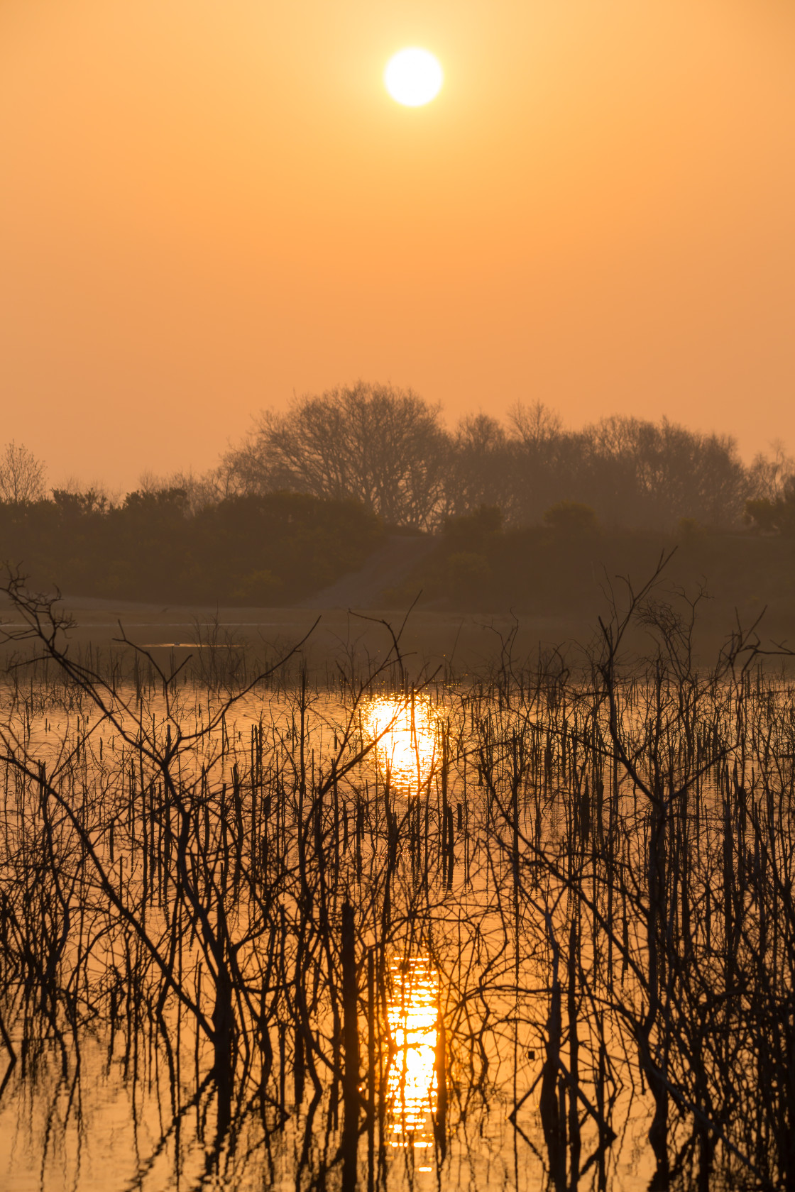 "Misty Morning Sun Refection" stock image