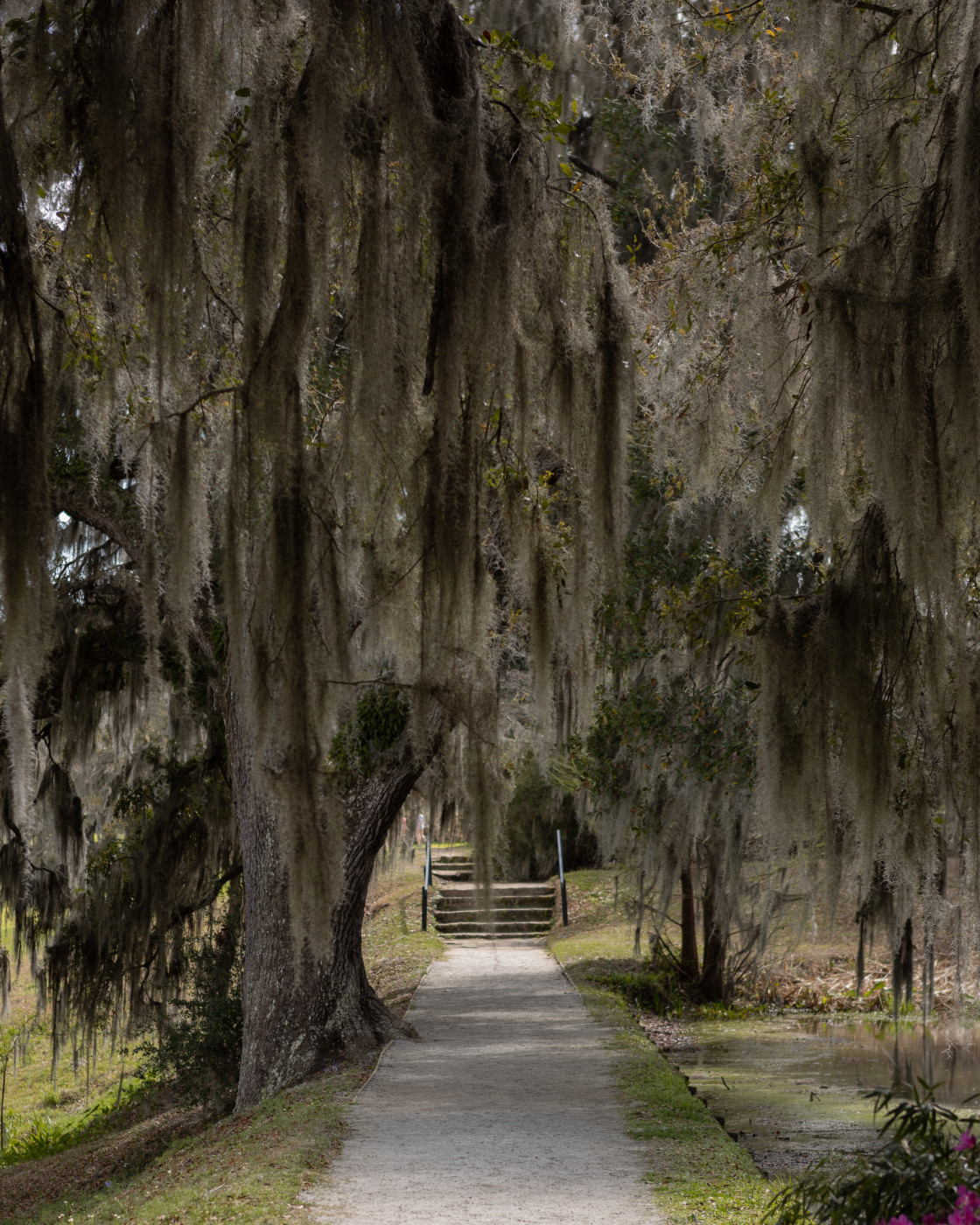 "The Path Home" by Joseph Hawk - $59.26 "The Path Home" stock image