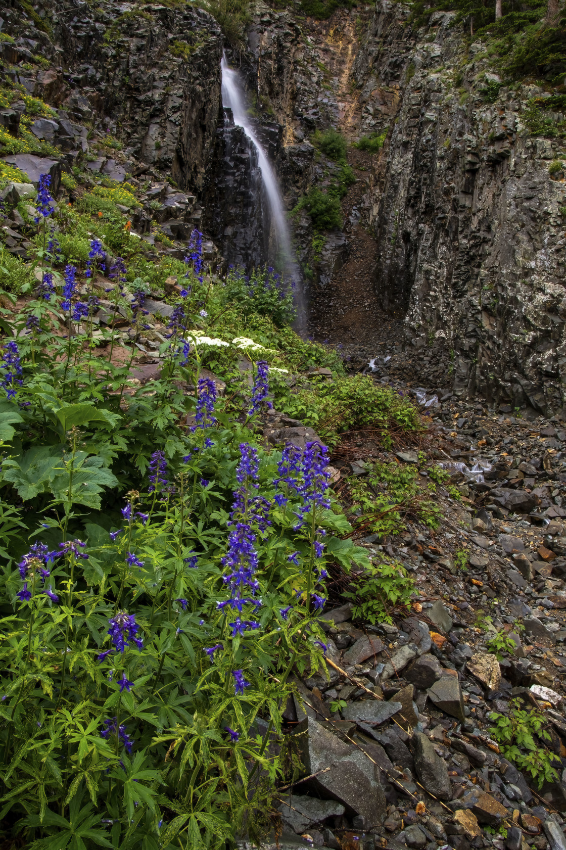 "Waterfall And Larkspur" stock image