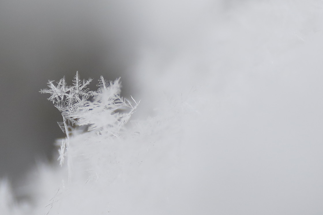 "Structures of white" stock image