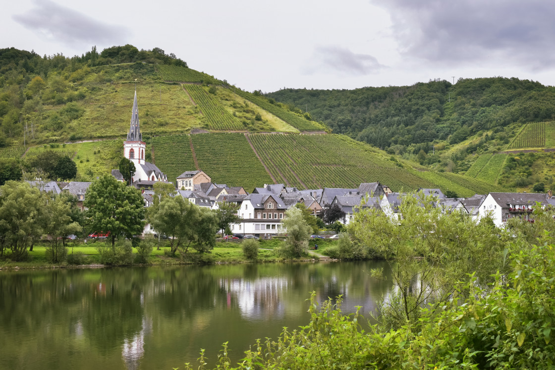 "Picturesque village at the Moselle river banks" stock image