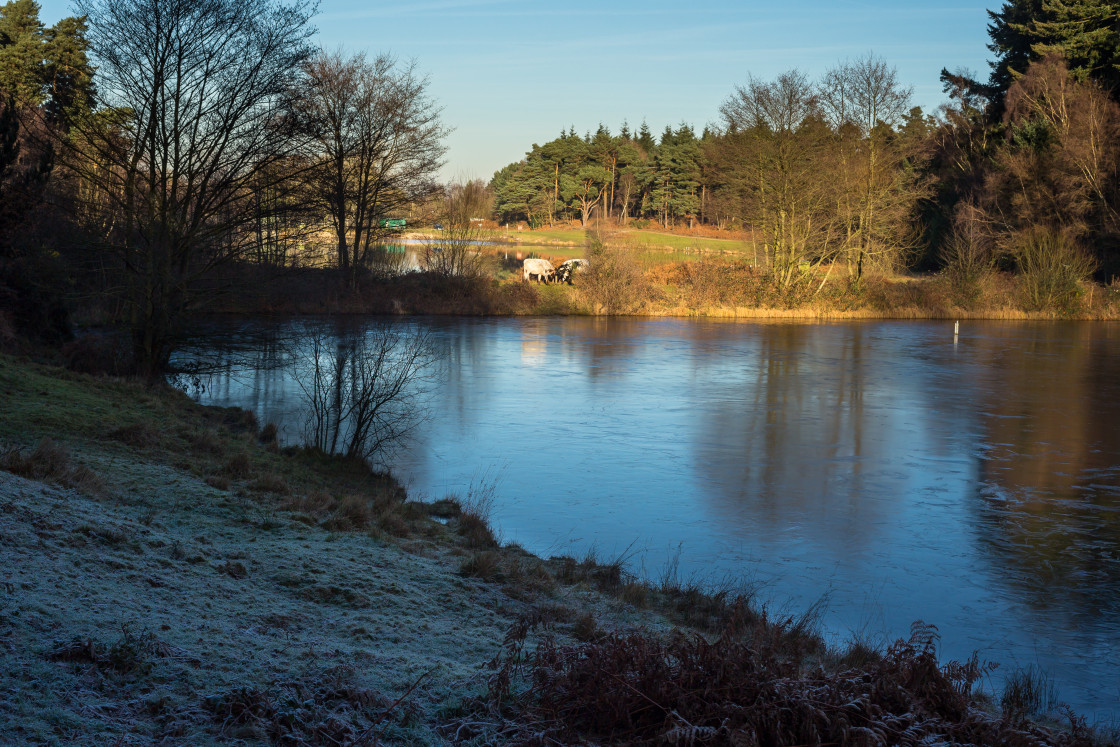 "Frosty Bourley Lakes" stock image