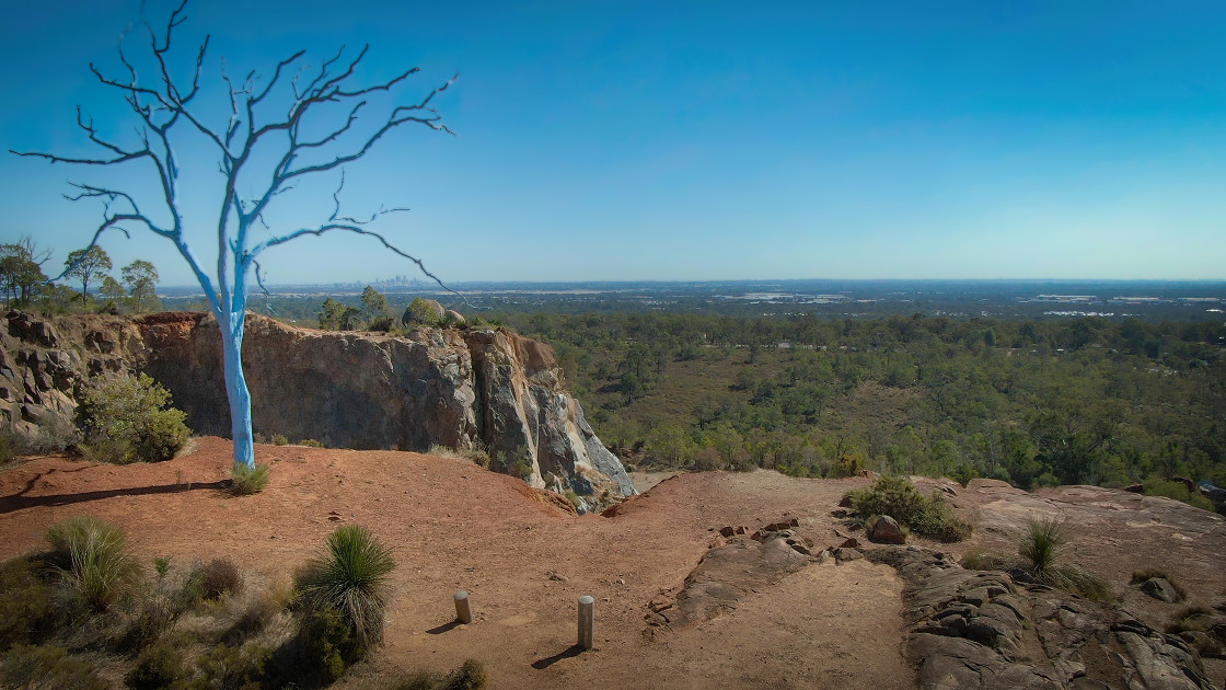 "Blur Tree and Cliff" stock image