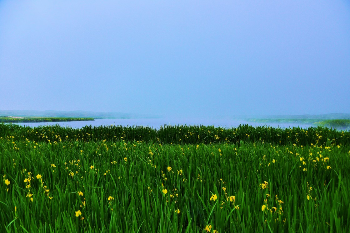 "A large pond (small lake) in the dune area of the Texel island, Netherlands" stock image