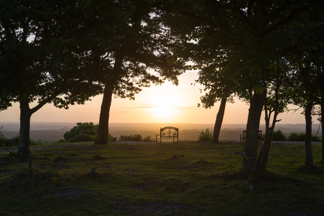 "Jubilee Clump Sunrise" stock image