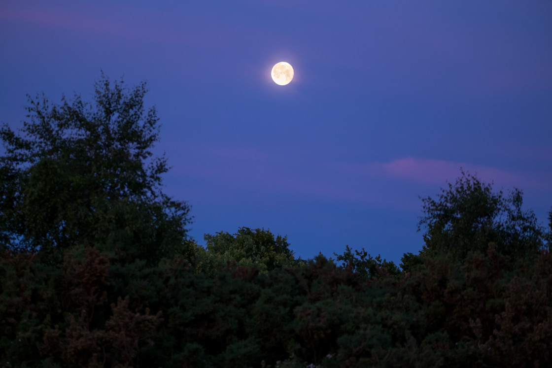 "Dawn Twilight Moon" stock image