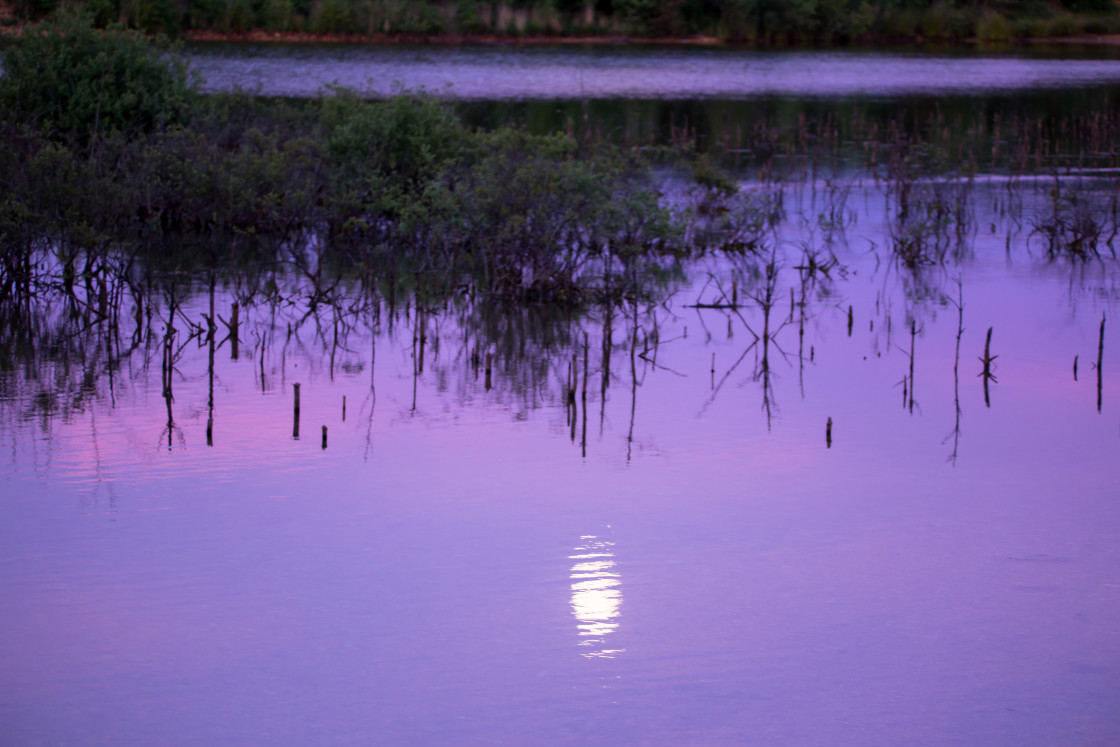 "Dawn Twilight Moon Reflection" stock image